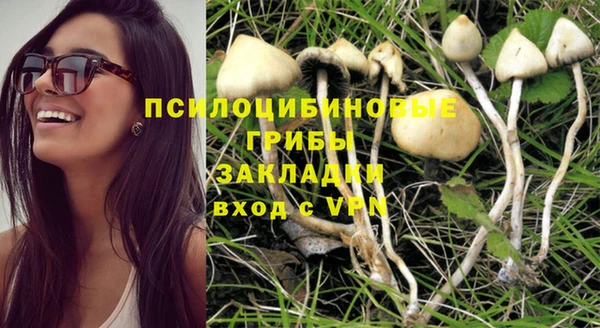 амфетамин Алексин